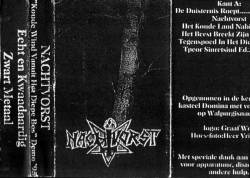 Koude Wind Vanuit Het Diepe Bos